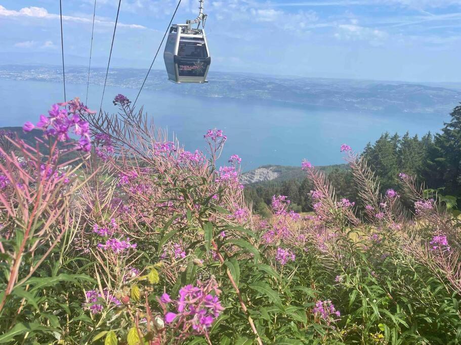 Studio Myrtilles Du Leman Vue Sur Lac Et Montagne Thollon-les-Memises 外观 照片