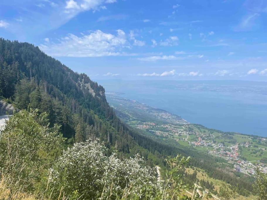 Studio Myrtilles Du Leman Vue Sur Lac Et Montagne Thollon-les-Memises 外观 照片